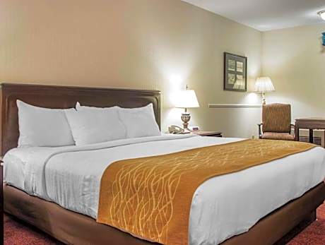 1 King Bed, Nonsmoking