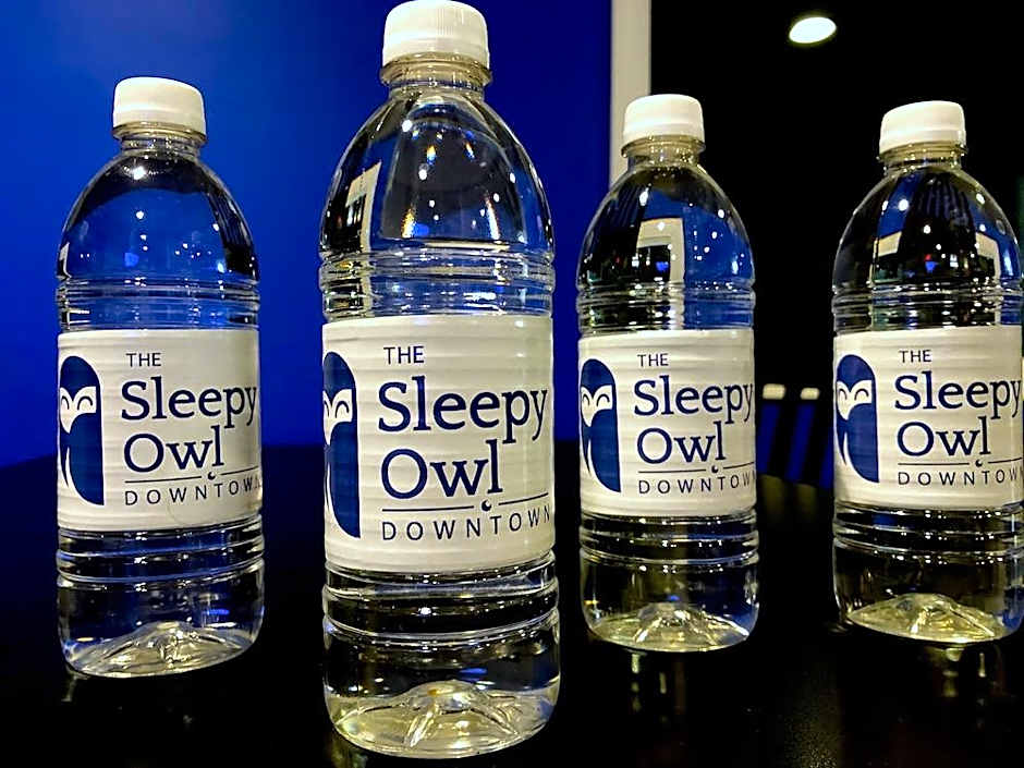 The Sleepy Owl