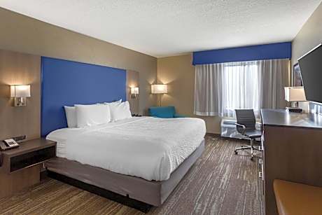 King Room - Non-Smoking