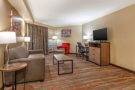 Queen Suite with Spa Bath - Non-Smoking