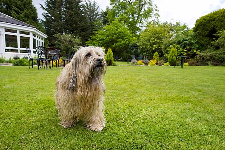 Woodlands Lodge Hotel