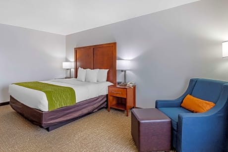 1 King Bed, Nonsmoking