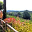 Chianti Village Morrocco