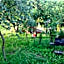 Il Giardino del Gallo