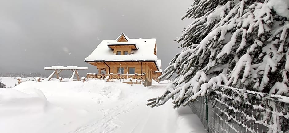 Góralskie Domki na Podhalu - z jacuzzi