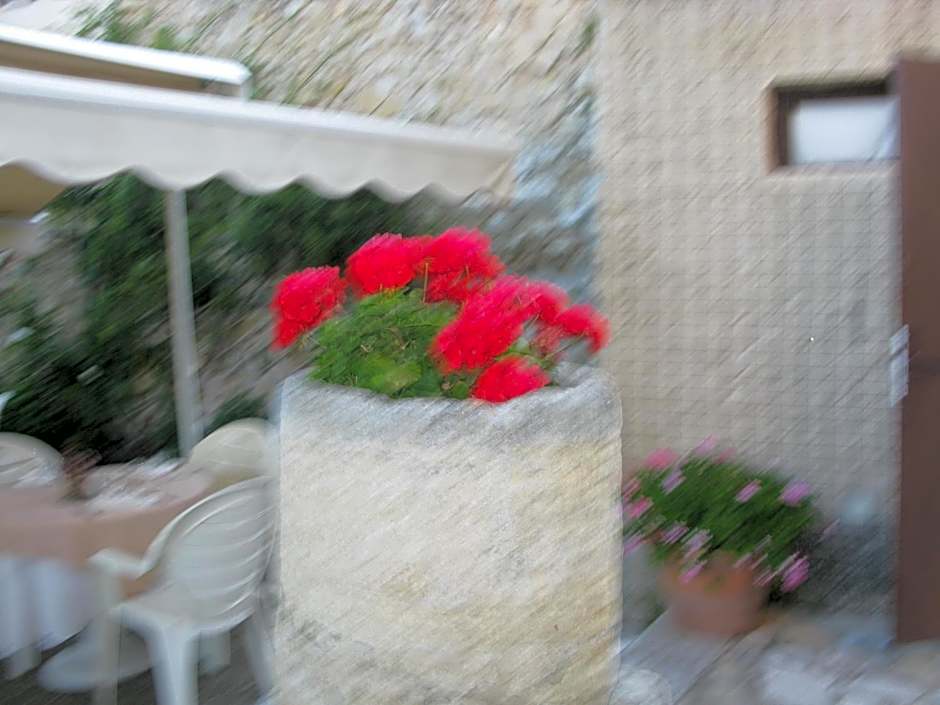 Les Geraniums