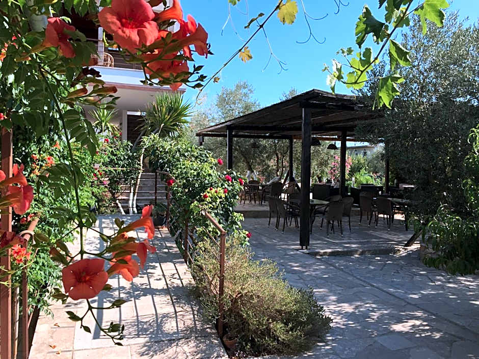 Hani Inn