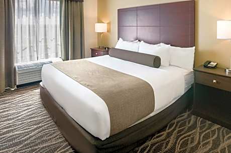 Studio - Disability Access