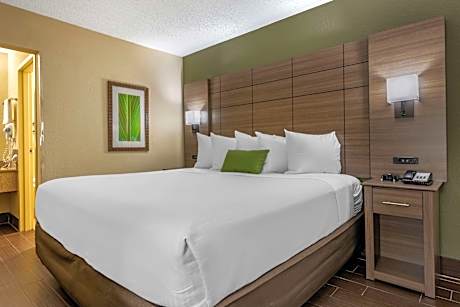 King Room - Pet-Friendly/Non-Smoking