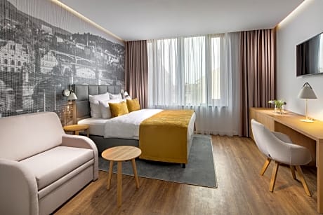 deluxe room single use