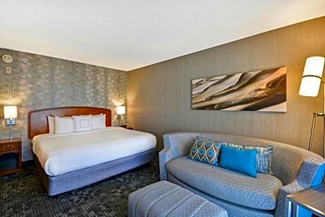 Standard King Room - Non-Private Sofa Bed - Mobility Accessible w/Tub