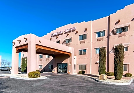 Comfort Suites   University