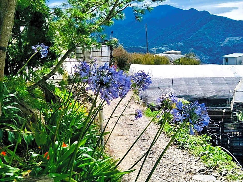 Flower and Star Garden Bed and Breakfast