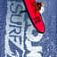 Mojosurf Camp Canggu