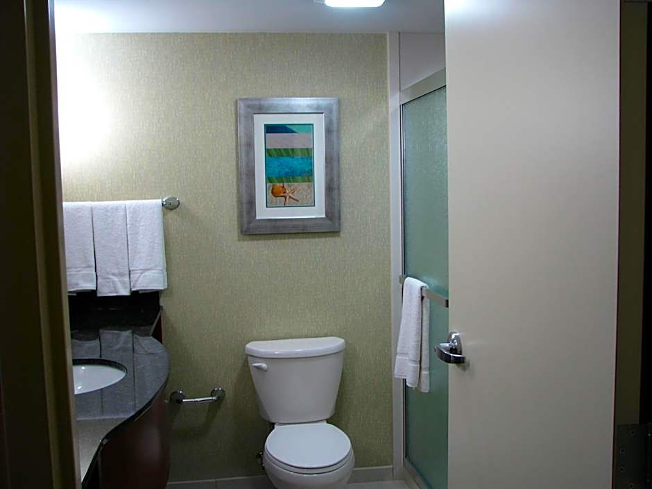 Holiday Inn & Suites Virginia Beach - North Beach By IHG