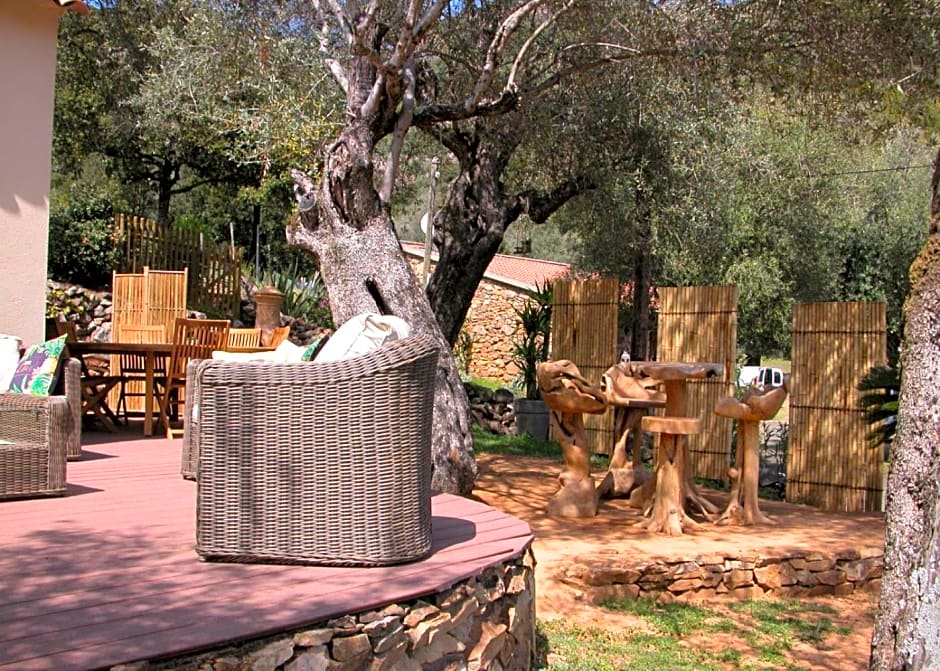 L'oliveraie du Fango