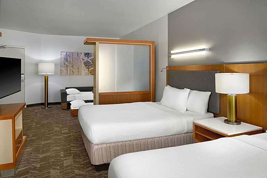 SpringHill Suites by Marriott Detroit Metro Airport Romulus
