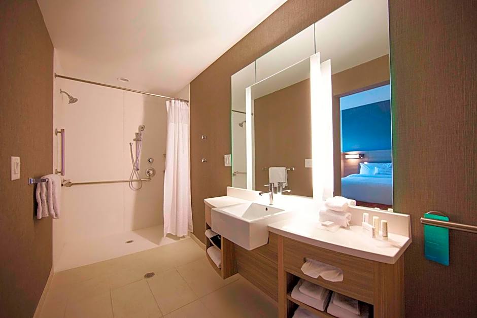 SpringHill Suites by Marriott Athens Downtown/University Area