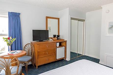 Standard Basic Room, No Balcony