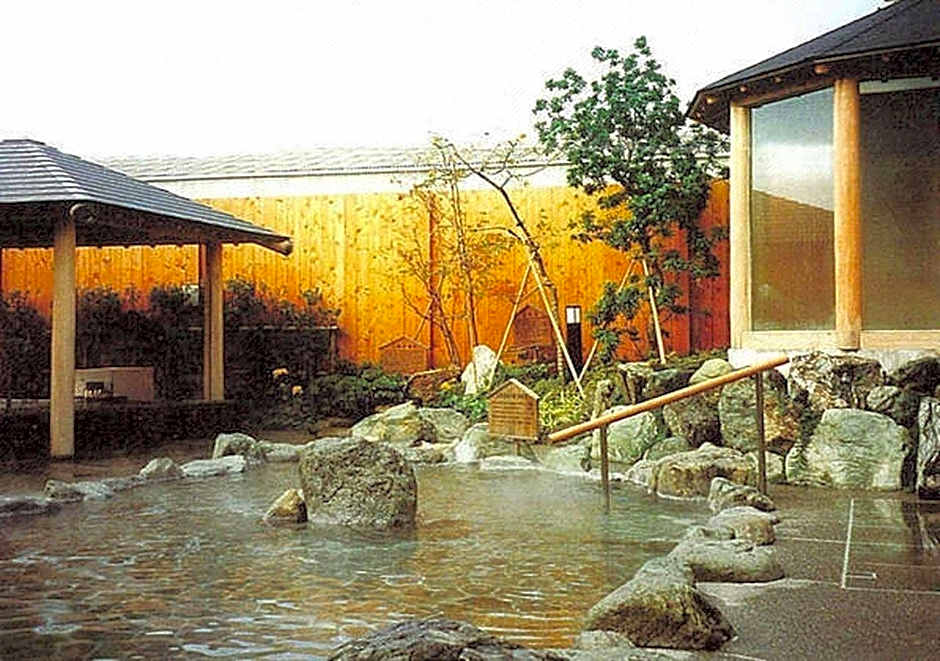 Grand Park Hotel Excel Kisarazu