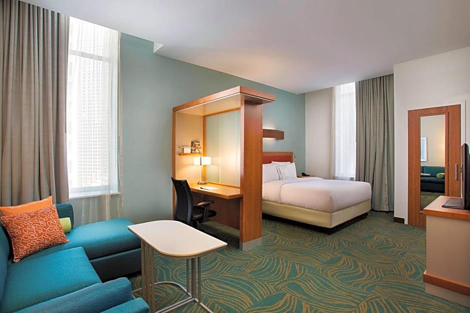 SpringHill Suites by Marriott Houston Downtown/Convention Center