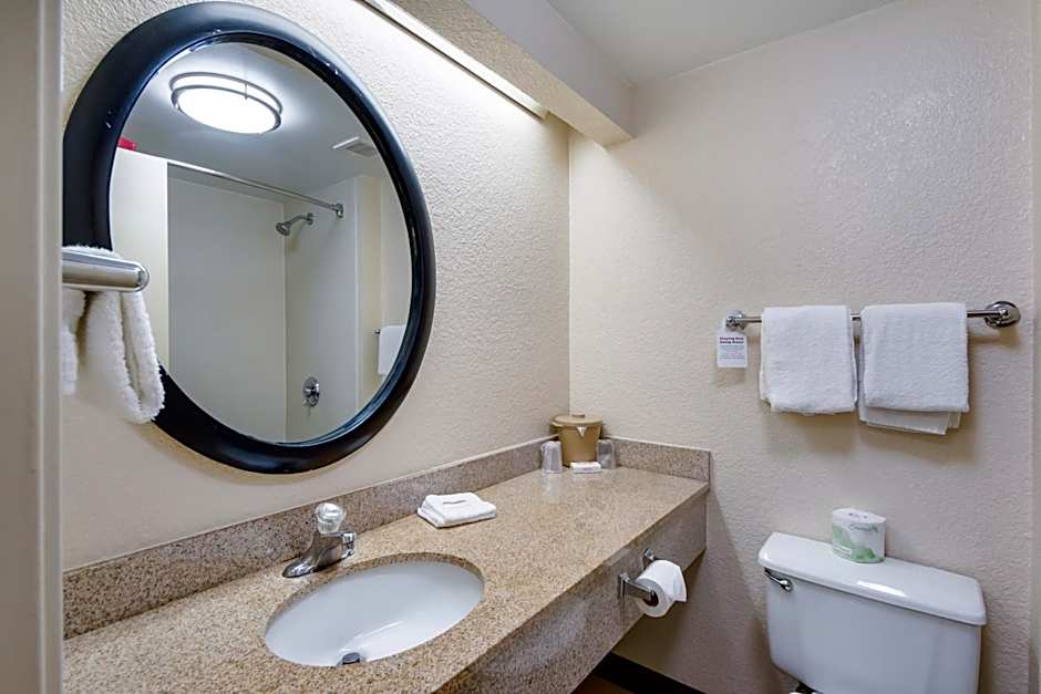 Photo 1 of 5 of Superior 1 King Bed
