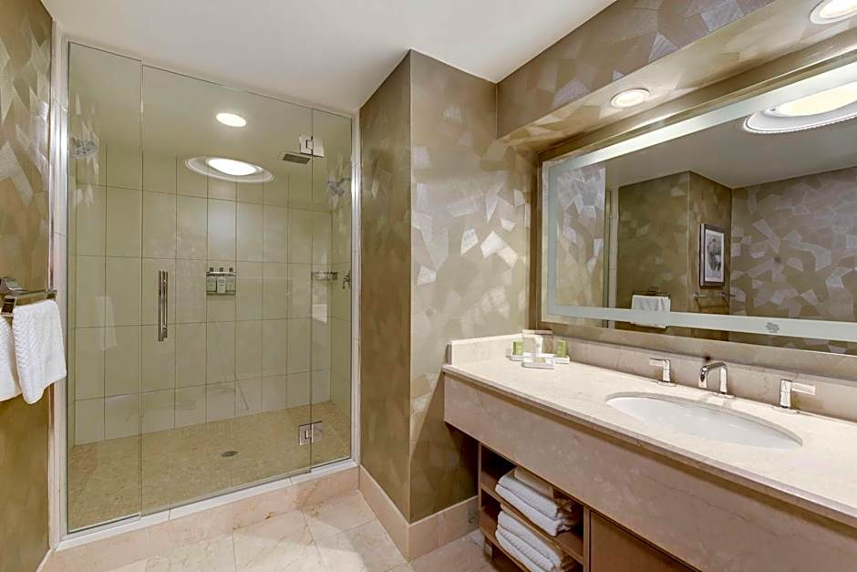 Hilton Washington DC Capitol Hill