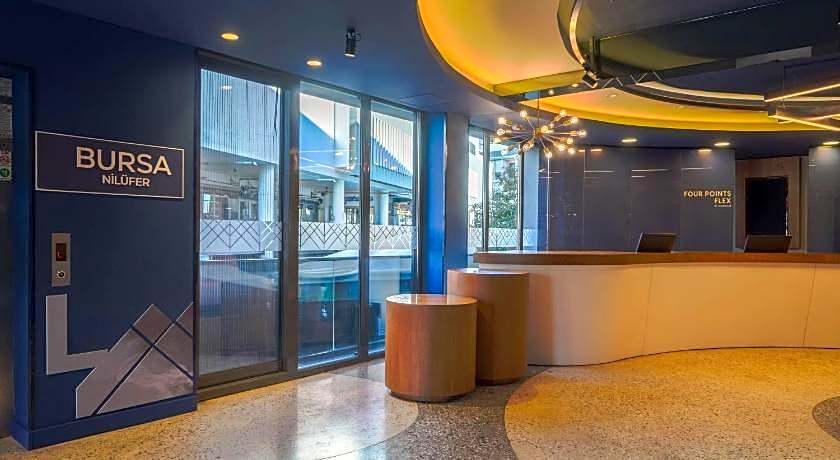 Four Points Flex by Sheraton Bursa Nilufer