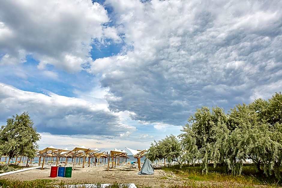 Studio Panoramic Sea On