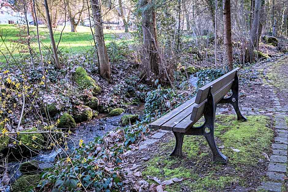 living TIMELESS - Adler Apartments Sasbachwalden