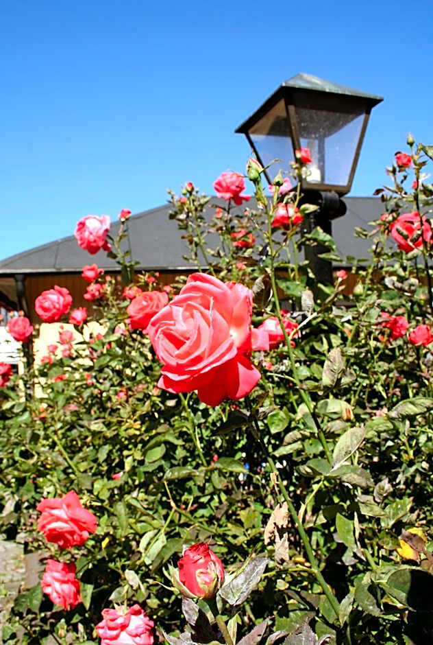 Slottshotellet