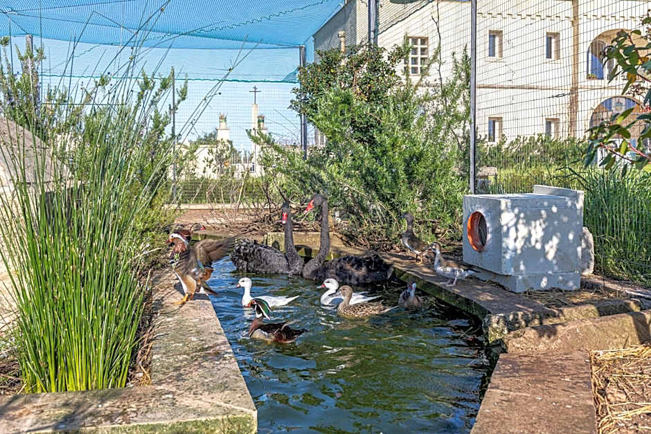 Masseria Borgo Segine - Relais nel Salento