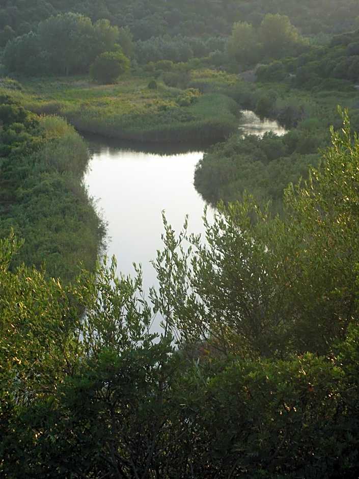 S'Ustiarvu- NUOVA GESTIONE