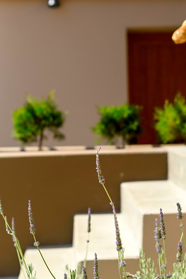 Aletri Swim Up Boutique Hotel