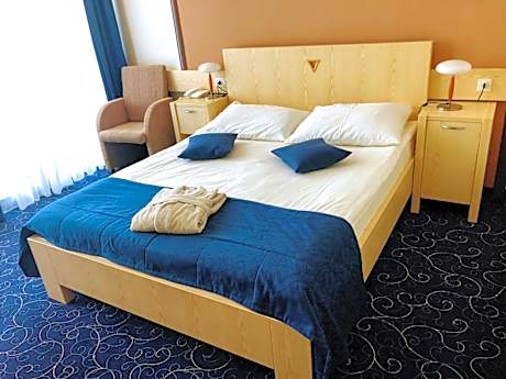 Single Room with Mountain View