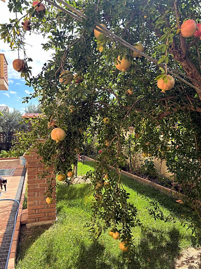 B&B Villa Maria - Martelletto di Settingiano