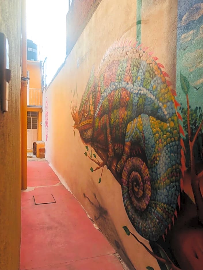 Los Nardos Hostel