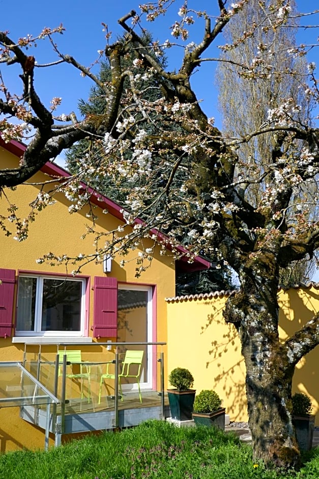 Swiss Borzoi House