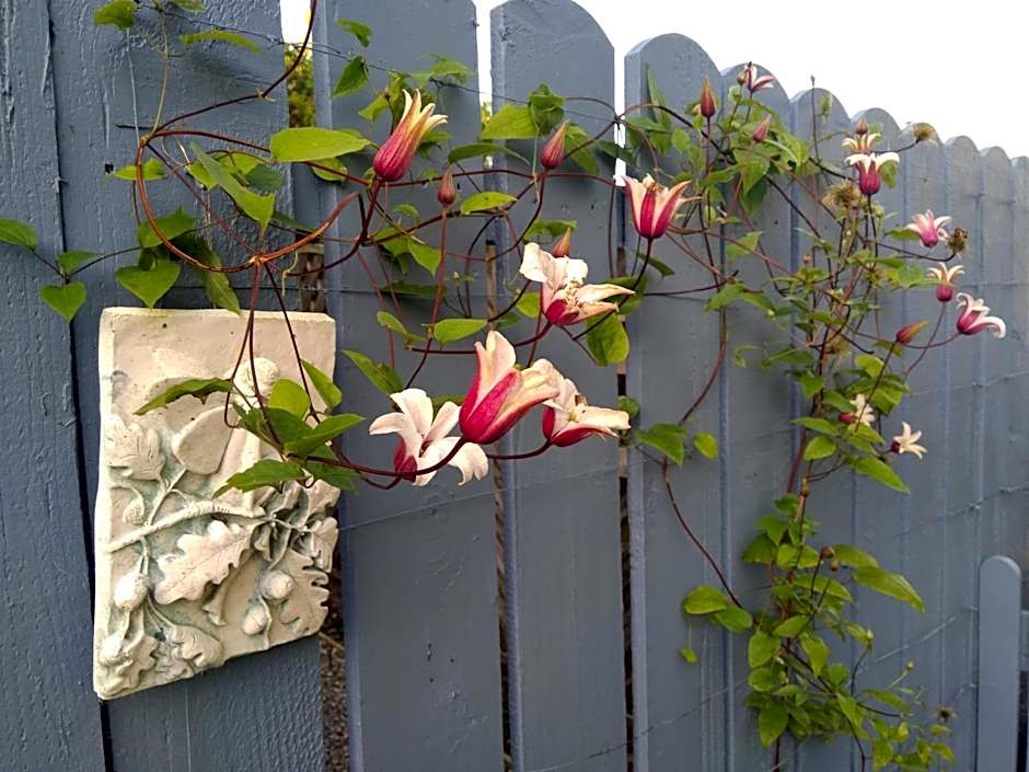 Twin Oaks Bed & Breakfast