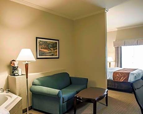 1 Bedroom Suite