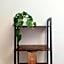 Warsaw Concierge Flat6 Hoza