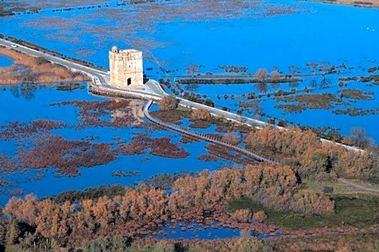 Hôtel Café Miramar