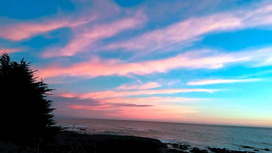 The Oceanfront Inn