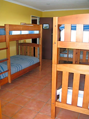 Single Bed in 8-Bed Dormitory Room