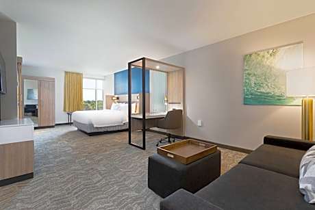 Larger Suite, 1 King, Trundle bed