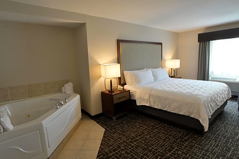 Holiday Inn Hotel & Suites Minneapolis-Lakeville