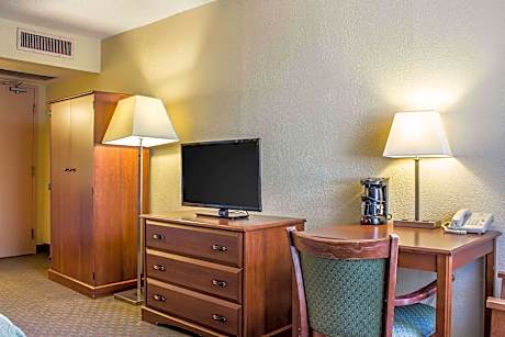 Queen Size Bed