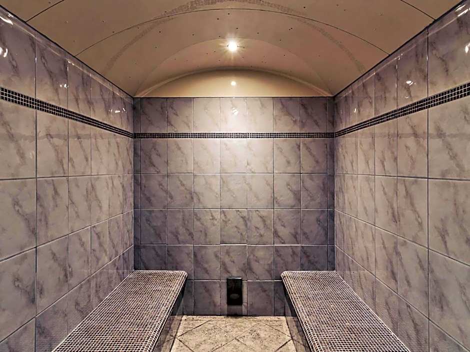 Mercure Sighisoara Binderbubi Hotel & Spa