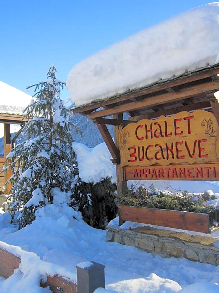 Chalet Bucaneve