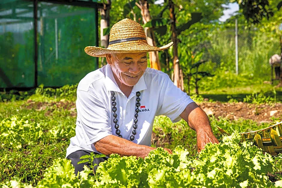 Tanoa Tusitala Hotel